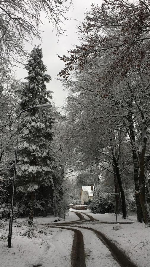 B&B In De Aap Gelogeerd Apeldoorn Dış mekan fotoğraf