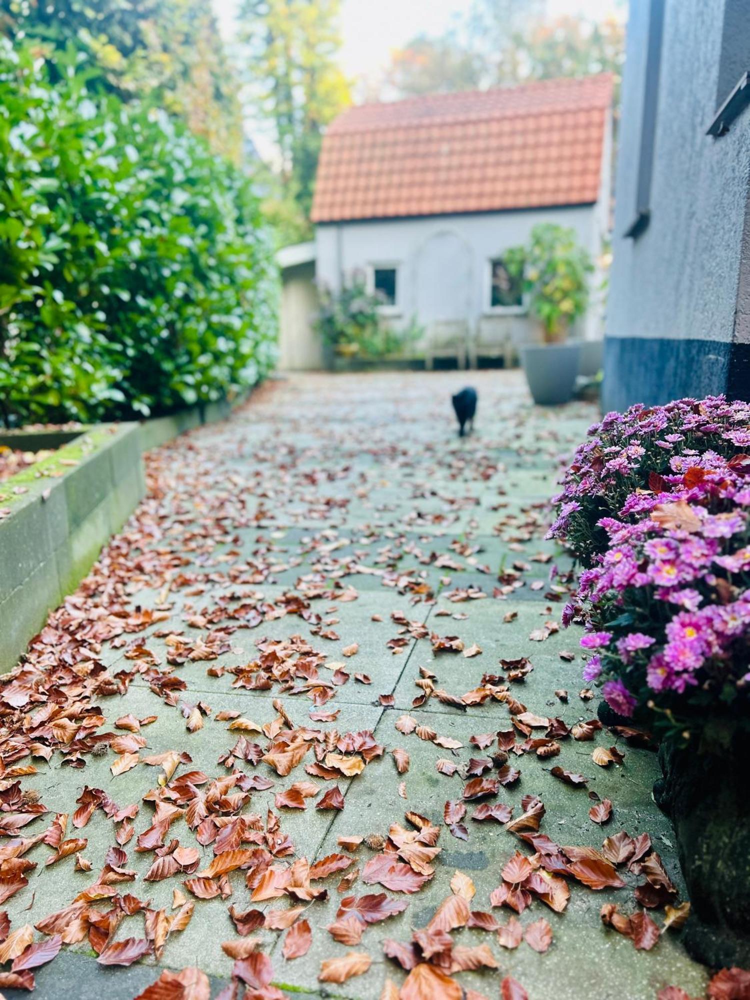 B&B In De Aap Gelogeerd Apeldoorn Dış mekan fotoğraf